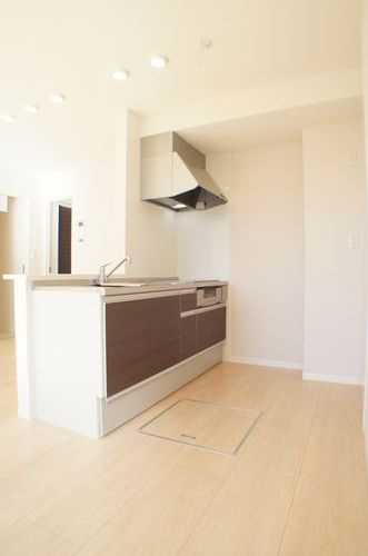 アセーボのキッチン|対面式システムキッチン