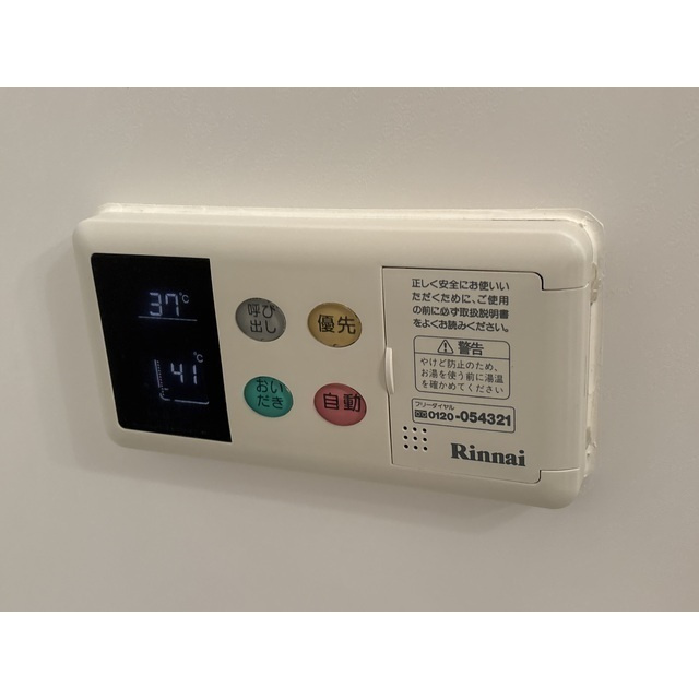 ルネス・レガートのその他