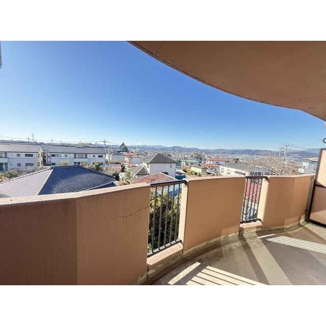 ルネス・レガートのその他