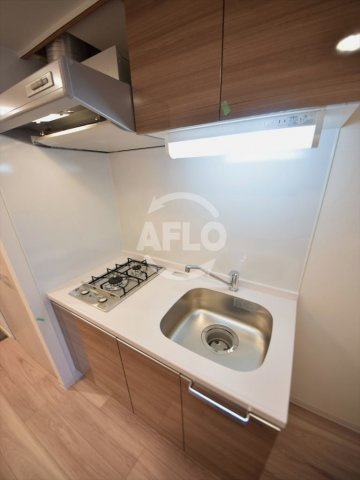 プレサンス立売堀パークシティのキッチン|プレサンス立売堀パークシティ　ガス2口システムキッチン（階数で色の違いあり）