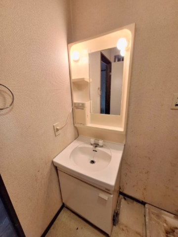 メゾンKの洗面所