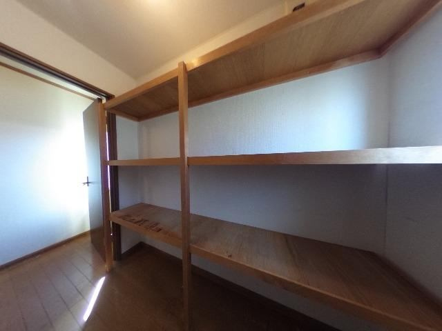 大空町女満別西7条4丁目戸建の内装