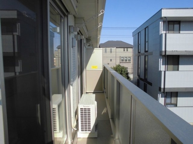 シン・オオヌキソウのバルコニー