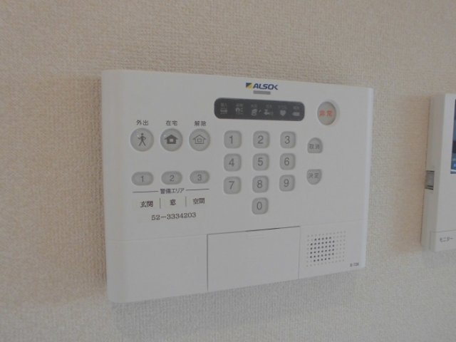 シン・オオヌキソウのセキュリティ