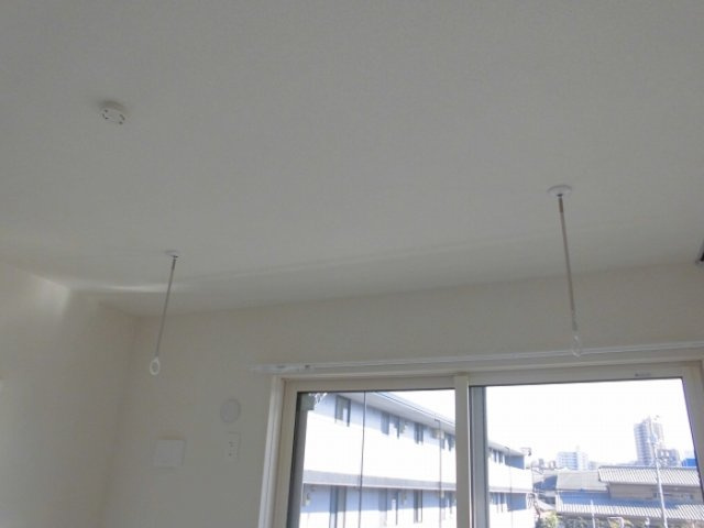 シン・オオヌキソウの寝室