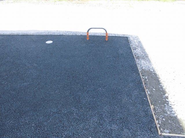 シン・オオヌキソウのその他