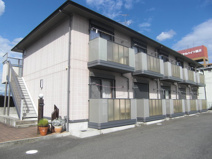 アイビー24　C棟の画像