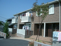 シンシアの画像