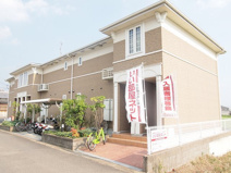 アプリコットの画像