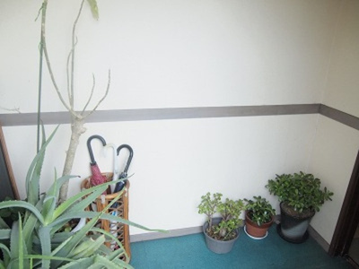 【玄関】 | ドリームプラザ