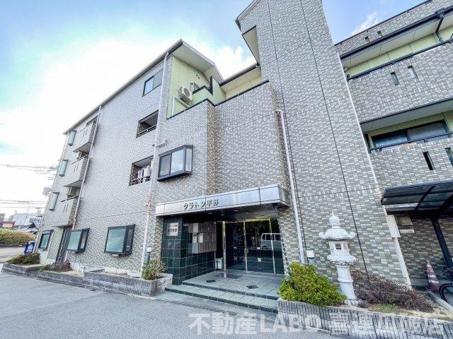 クラトン平野の外観