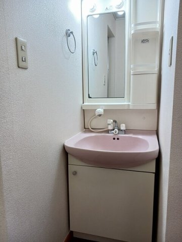 クレストールタカハシの洗面所