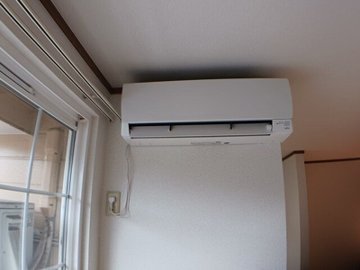 【その他】 | プリムローズ