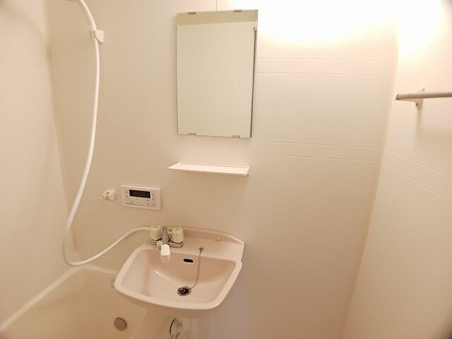 グリーンコートの洗面所