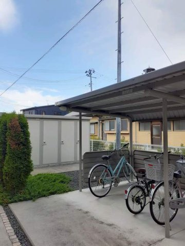 ｖｉｏｌａのその他