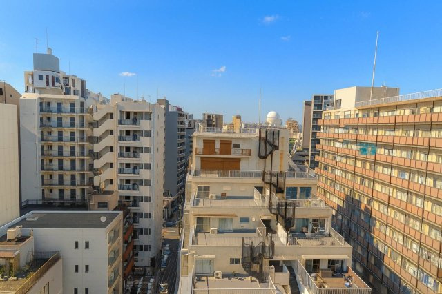 ソルフィエスタ浅草入谷の展望