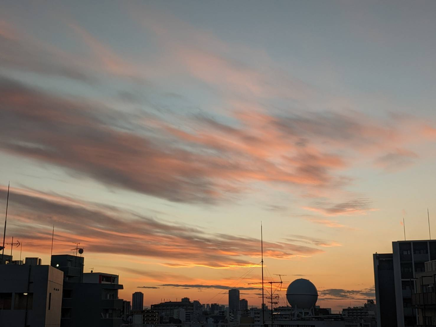 ソルフィエスタ浅草入谷の展望