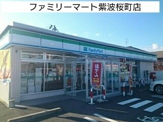 サニー・クラウンⅡの周辺|ファミリーマート紫波桜町店まで600m