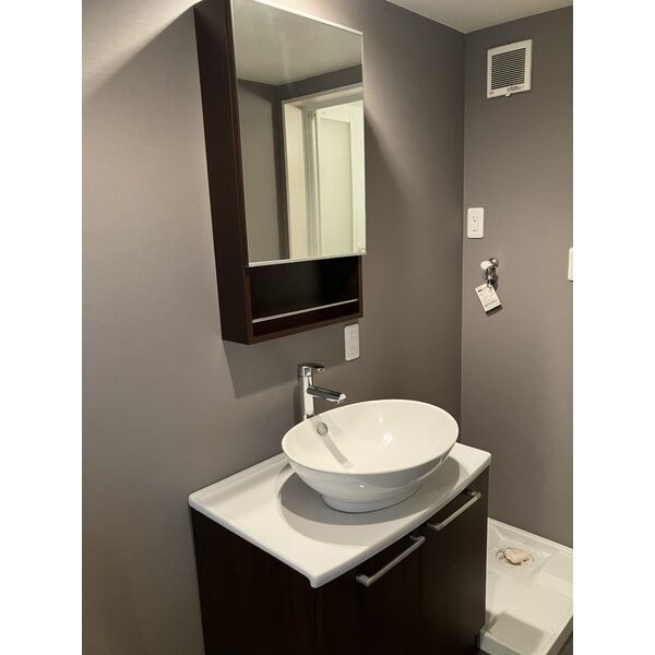 フレシールA　名古屋市賃貸　仲介手数料無料の洗面所