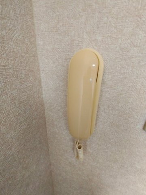  | パルミエール