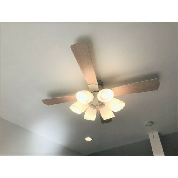 メゾン・シャドール名駅南　名古屋市賃貸　仲介手数料無料のその他