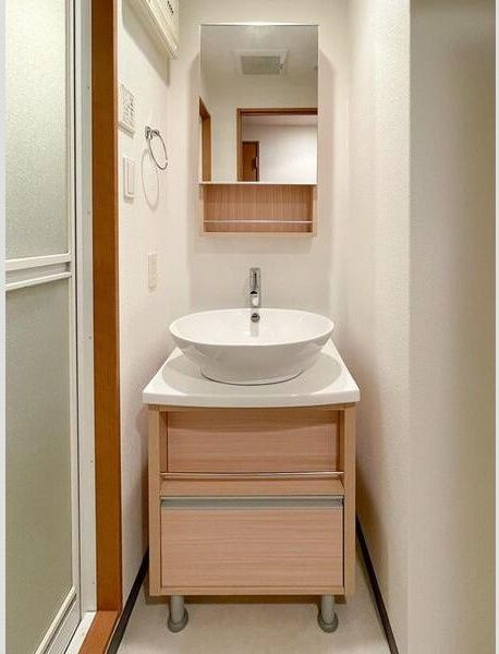 S-FORT福島EBIEの洗面所