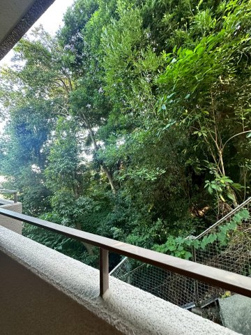 イスズハイツベル夙川公園の展望