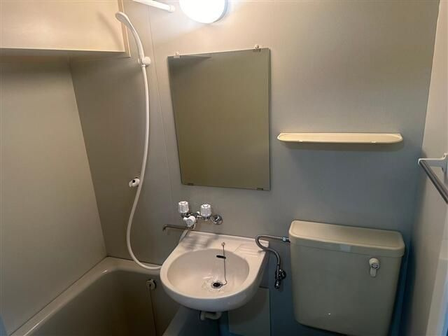 セレナハイム池袋アプレの浴室