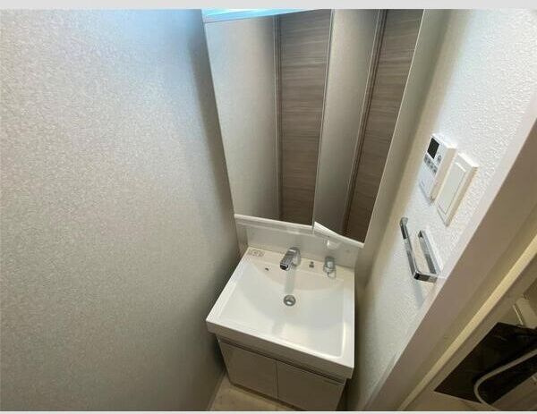 S-RESIDENCE三国WESTの洗面所