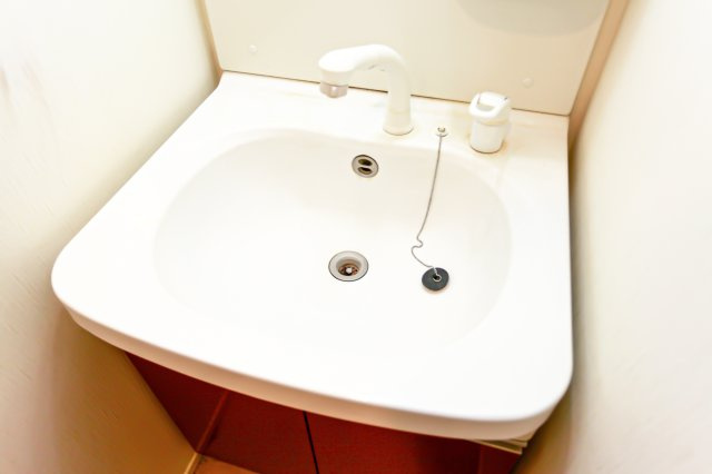 サヴォイ箱崎セントリシティ　2階の独立洗面台|別号室のものになります。現状優先。