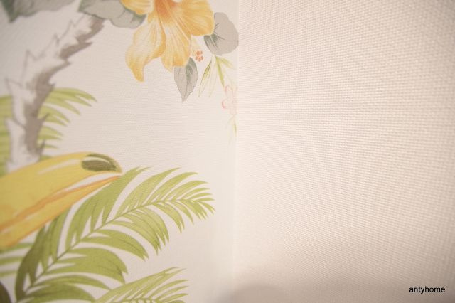 松下善ビル　仲介手数料無料の内装