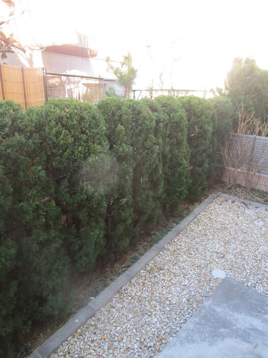 ガーデンハウス　Ｃの庭