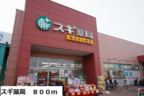 ディア　コート　並木の周辺|スギ薬局まで800m