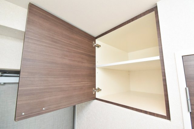 サヴォイザ・フォースフォー　6階の収納|別号室のものになります。現状優先。
※扉の色が異なります。