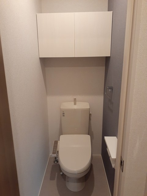 カーサリザイヤⅢのトイレ