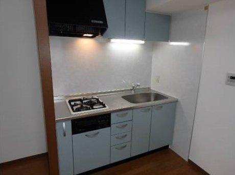 セントアミール南久宝寺のキッチン|セントアミール南久宝寺　ガス2口コンロシステムキッチン