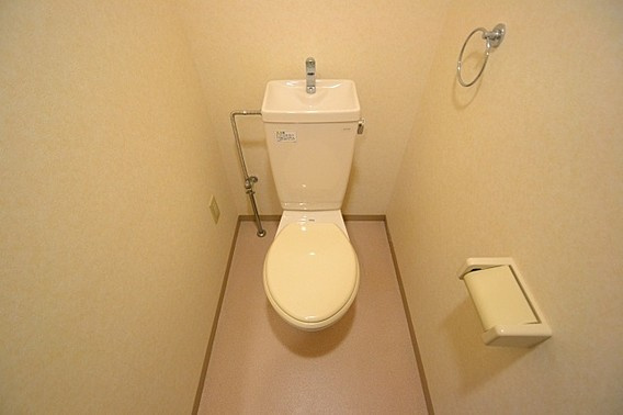 ハイツグレースのトイレ