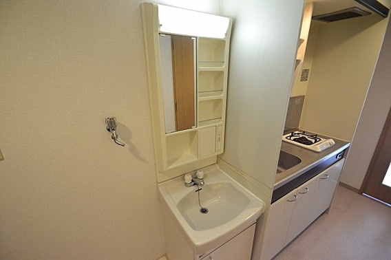 ハイツグレースの洗面所