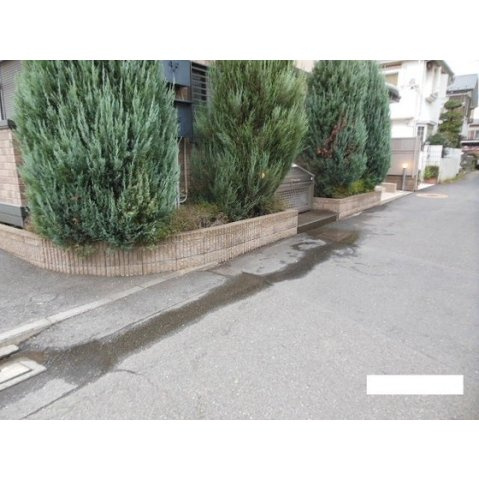 プランドール・レーブのその他