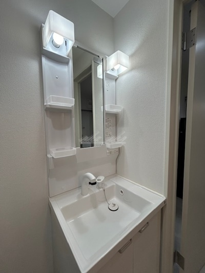 【洗面所】ブルームテラス 