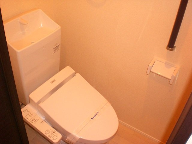 ミランダフェリスのトイレ