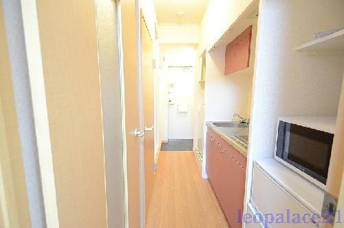 レオパレスエムズ柏の玄関|落ち着いた玄関です