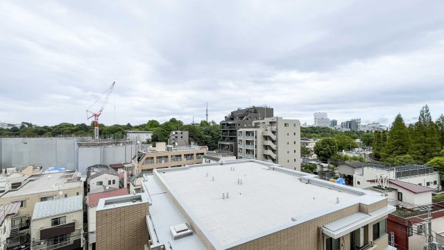 ザ・ライオンズ上野の森の展望