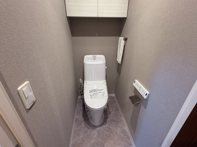 グランデ・プレミアムビスタ野嵩EASTのトイレ