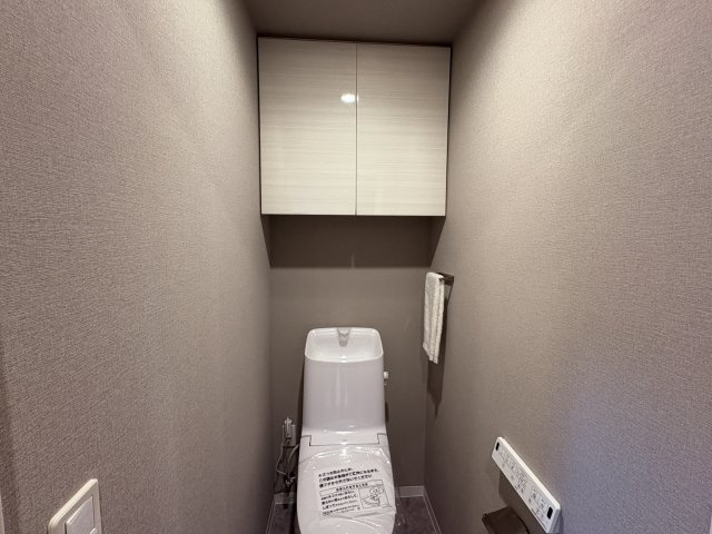 グランデ・プレミアムビスタ野嵩EASTのトイレ