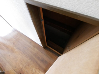 【収納】 | 甲府市下向山町 平成5年築 内外装一新 南東角地 車2台 | 階段下収納　奥行きある収納です。