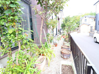 【庭】 | 岡崎市真伝町字寒風戸建