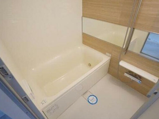 LaDouceur天満の浴室