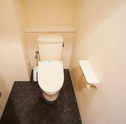 アーバンフラッツ瓦町のトイレ