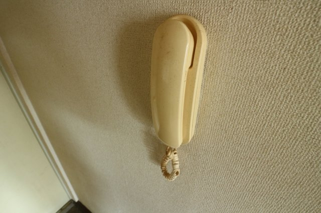 大蔵谷ハイツのセキュリティ